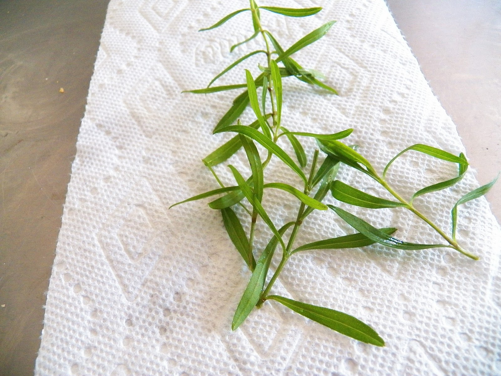 Home made Tarragon Vinegar Sid's Sea Palm Cooking