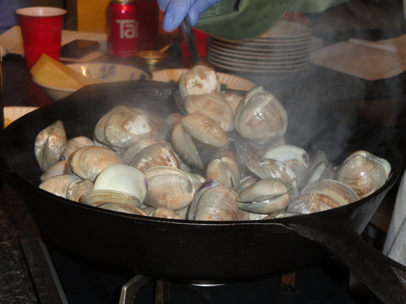 Quilts and Dogs Killing Innocent Clams?