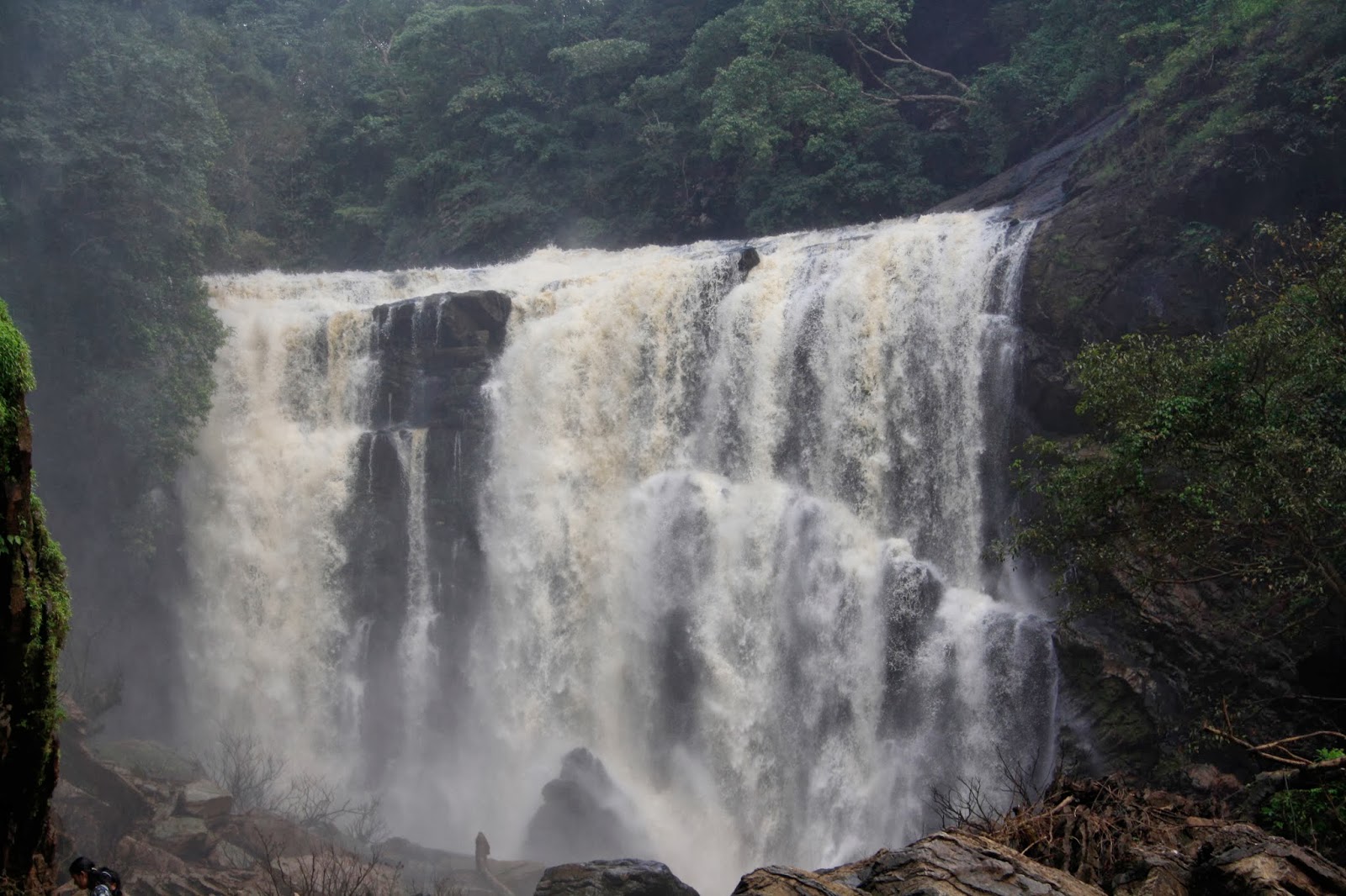 Explore and Conserve................................: Visit
