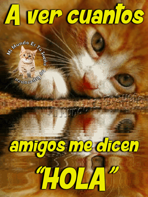 Resultado de imagen de mi mundo es tu sueño imagenes