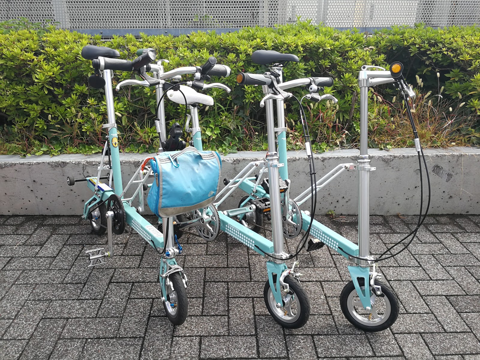 carry me グリーン