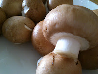Fresh Swiss Brown Mushrooms