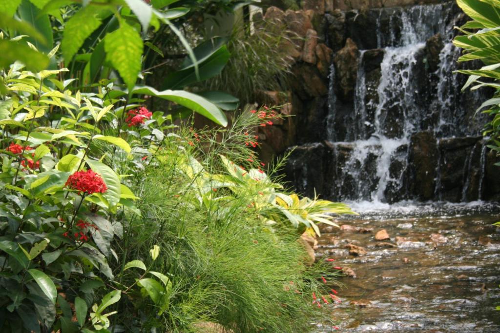 Tamilnadu Tourism Butterfly Park, Srirangam, Trichy