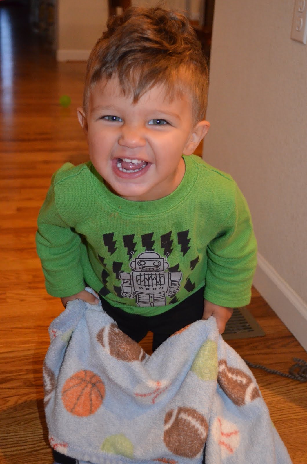 Wolgablog Blanket Sniffers