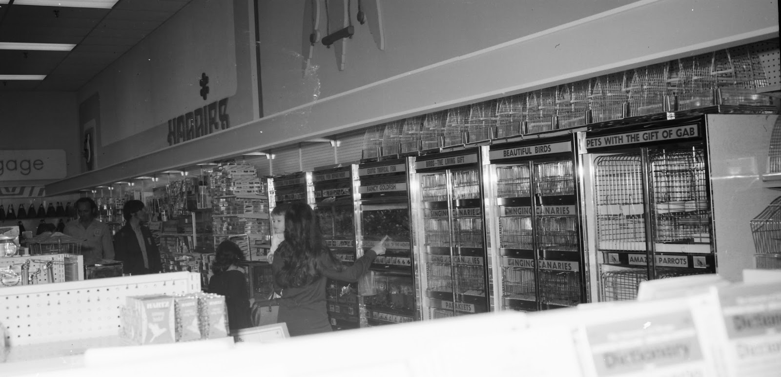 IMAGES OF OUR PAST WOOLWORTH'S STORE DUBLIN MALL OPENING, FEBRUARY