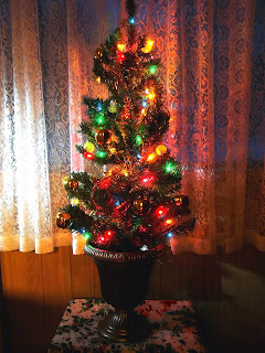 small tree with lights