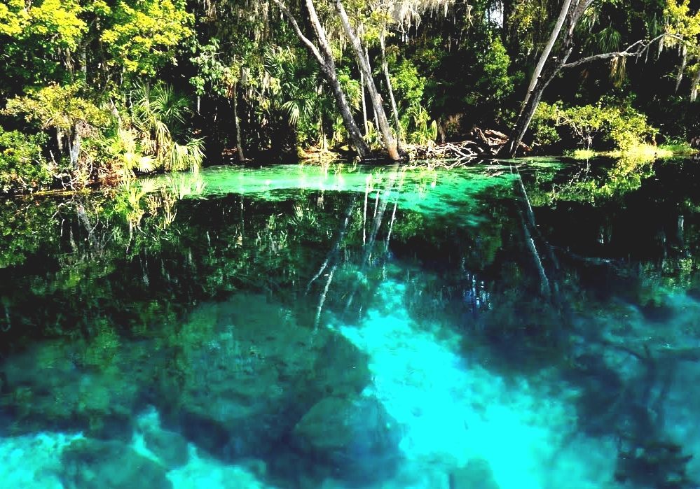 Rainbow Springs Rainbow Springs Florida