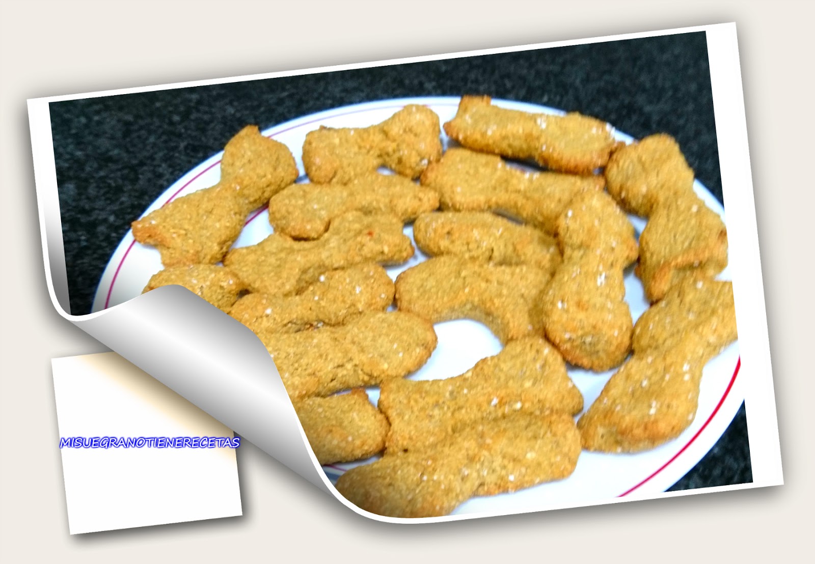 GALLETAS DE AVENA PARA PERRO