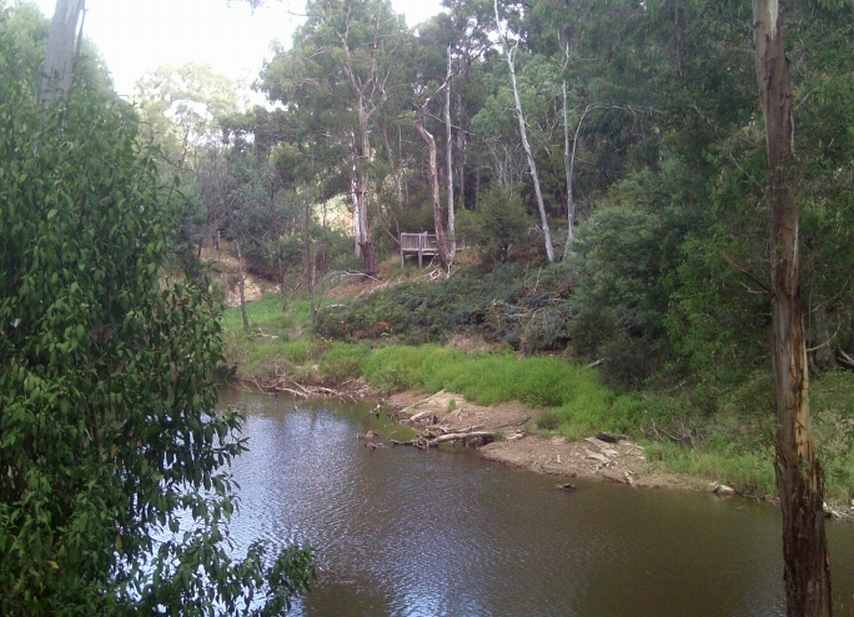 TRACKS, TRAILS AND COASTS NEAR MELBOURNE Summer hike at Sweeneys