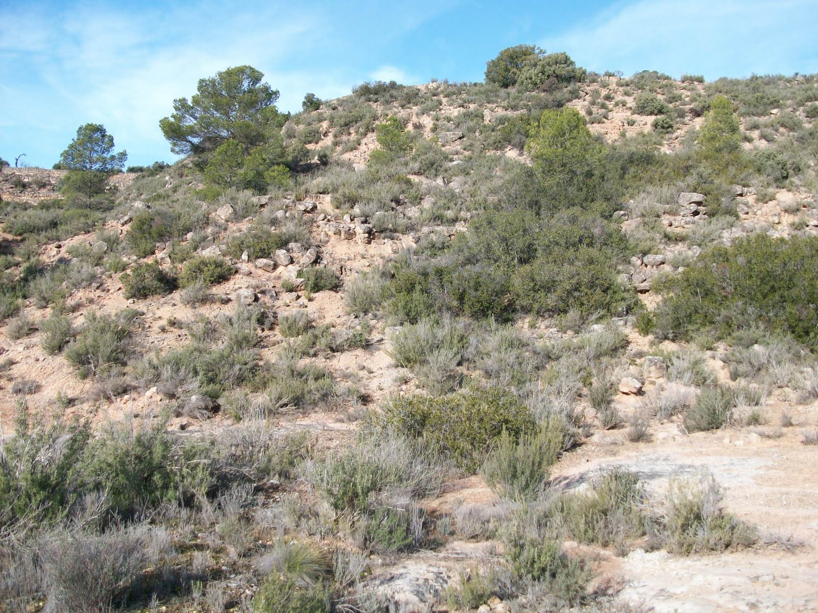 Periplo 125. Formaciones de garriga en el valle del Río Set (Lérida).
