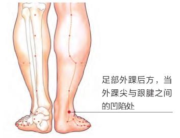經絡祛百病：3穴位治療下肢痿痺、足跟痛(跟骨骨刺、跟骨骨質增生)