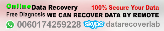Online-Data-Recovery