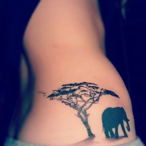A silhueta de um elefante é visto ao lado de uma árvore.