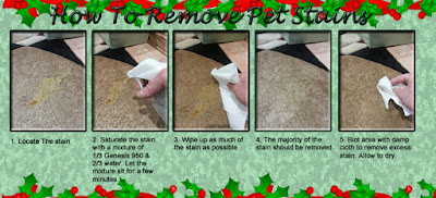 best pet stain remover