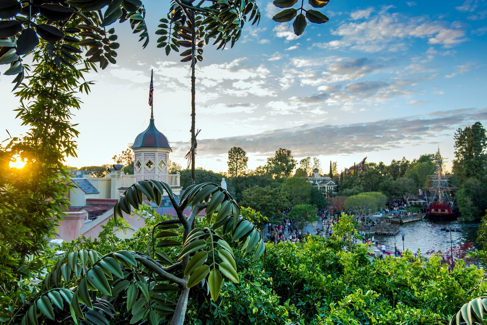 Sunset at the Treetops II