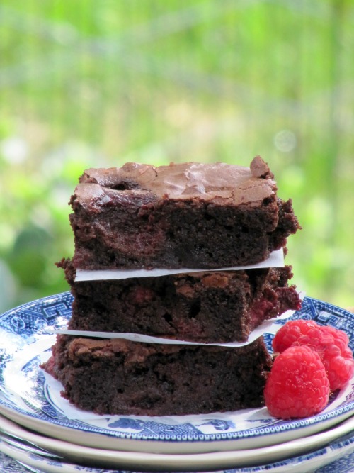 Once Upon A Chocolate Life Fudgy Raspberry Brownies
