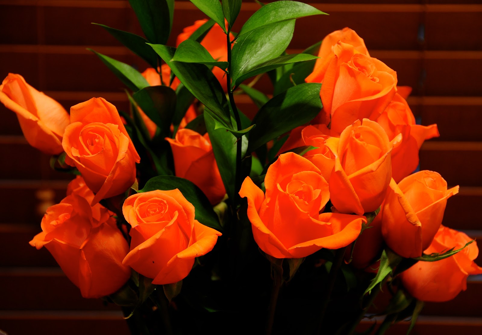 Shower Wisdom: Happy Birthday, Sweetheart