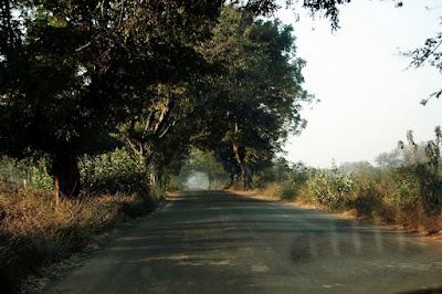 "The roads in these areas are picturesque, with lush green paddy and tobacco fields."