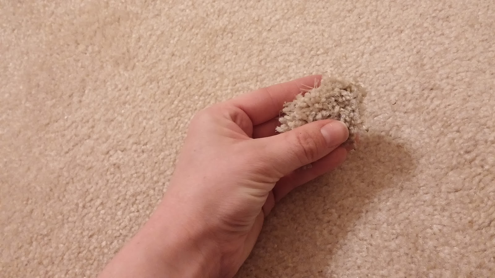 fix-lovely-how-to-fix-burn-marks-in-your-carpet