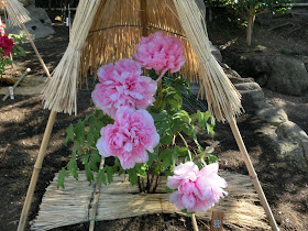 �߉������{�̐����ڂ���