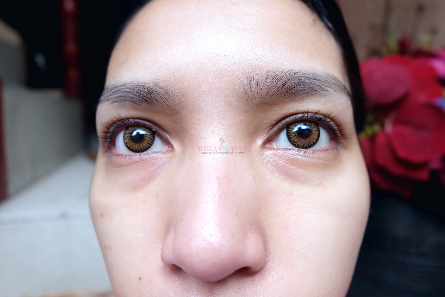 Most comfortable contact lenses