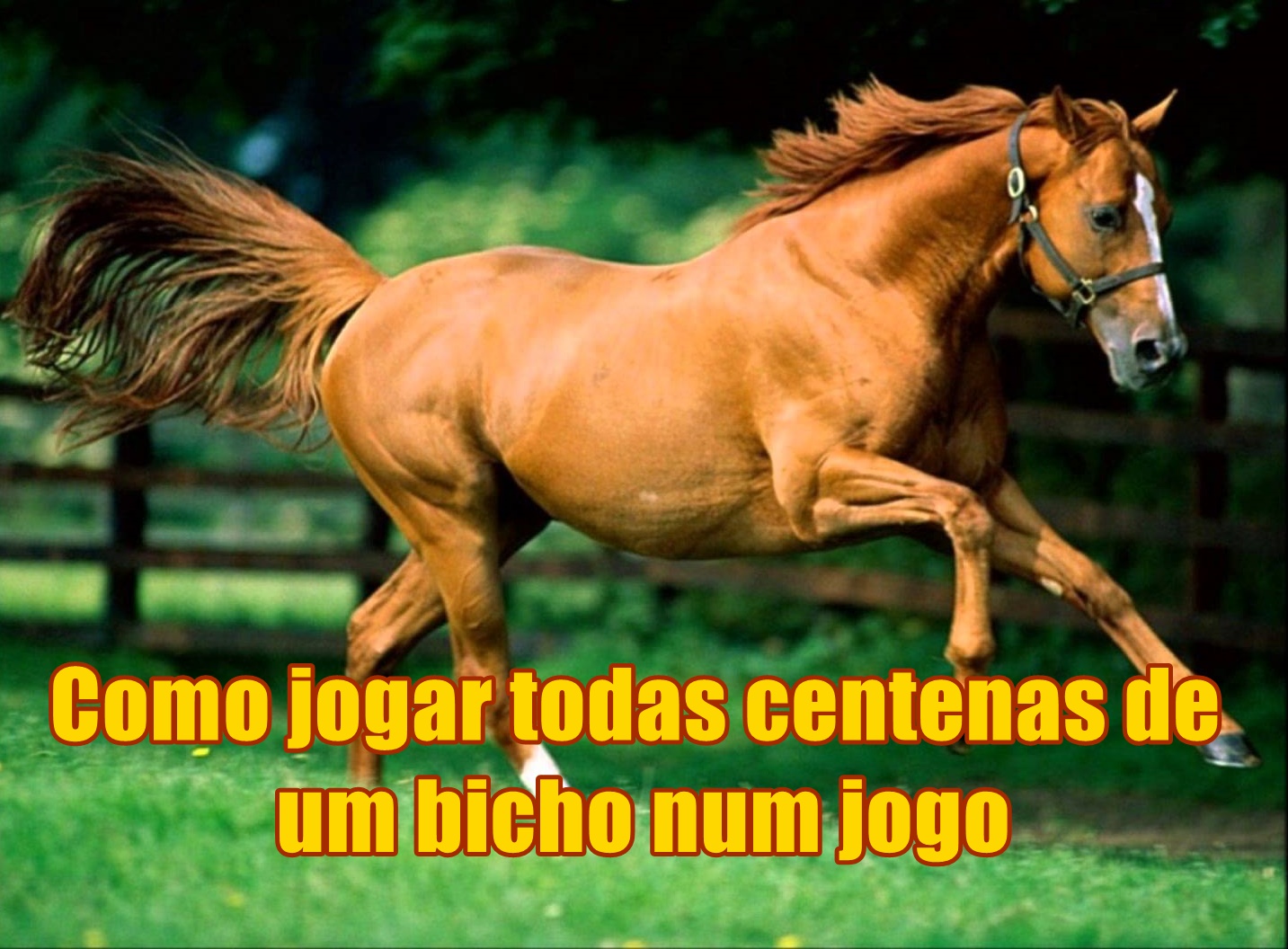 Palpites do Jogo do Bicho Jogar todas centenas do jogo do bicho Palpites do Jogo do Bicho Jogar todas centenas do jogo do bicho