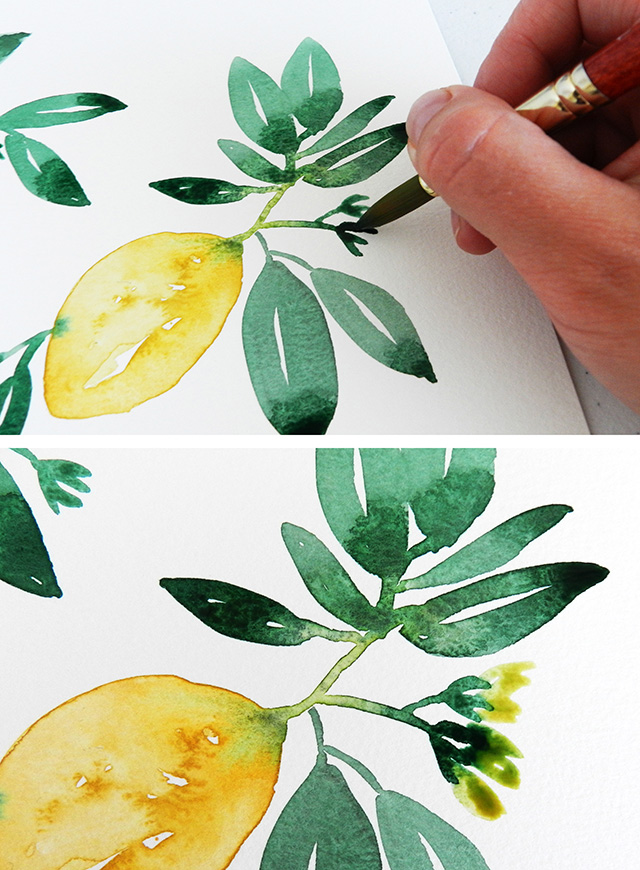 Free Art Tutorial: Learn How To Paint Watercolor Lemons In Seven Easy Steps!  Photos and Instructions by Elise Engh Studios.
