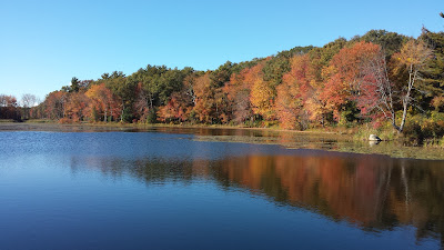 DelCarte in autumn color 2015