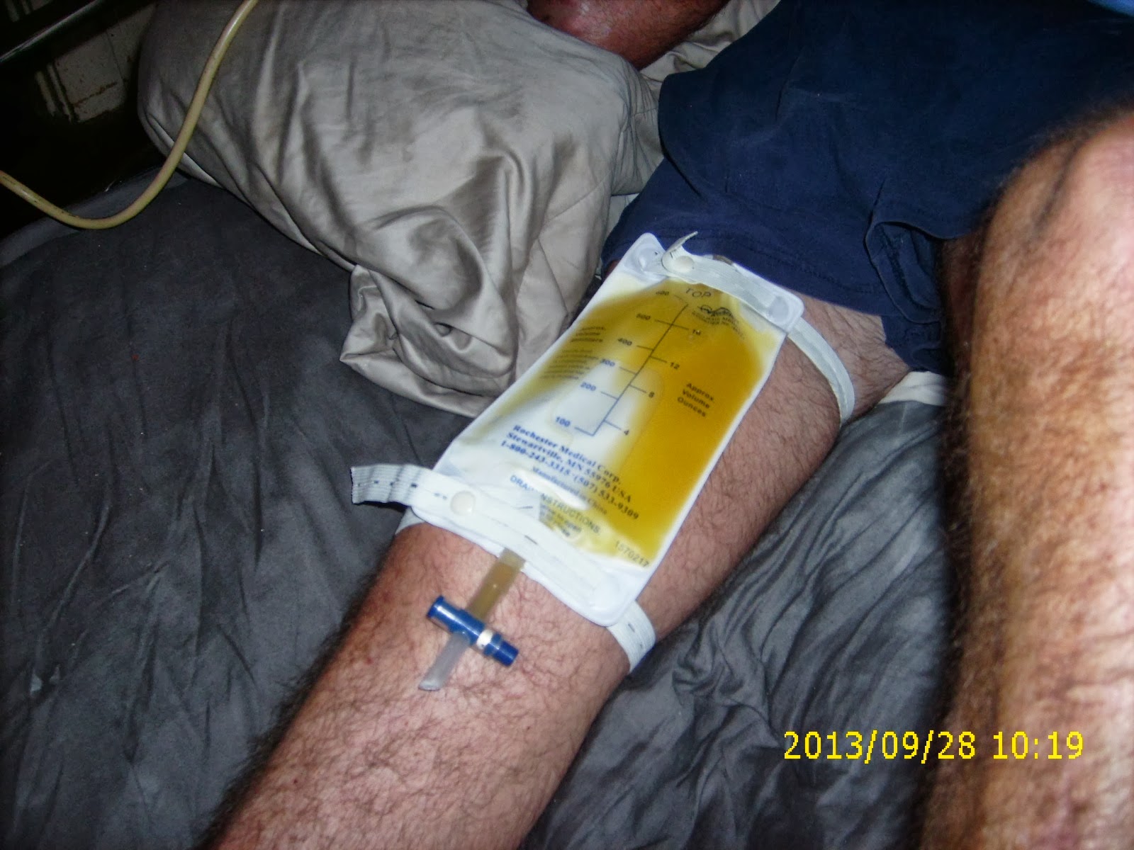 The Pink House on the Corner How to Hide a Bag of Pee