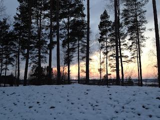 solnedg%25C3%25A5ng3 - Promenad på full eller tom mage