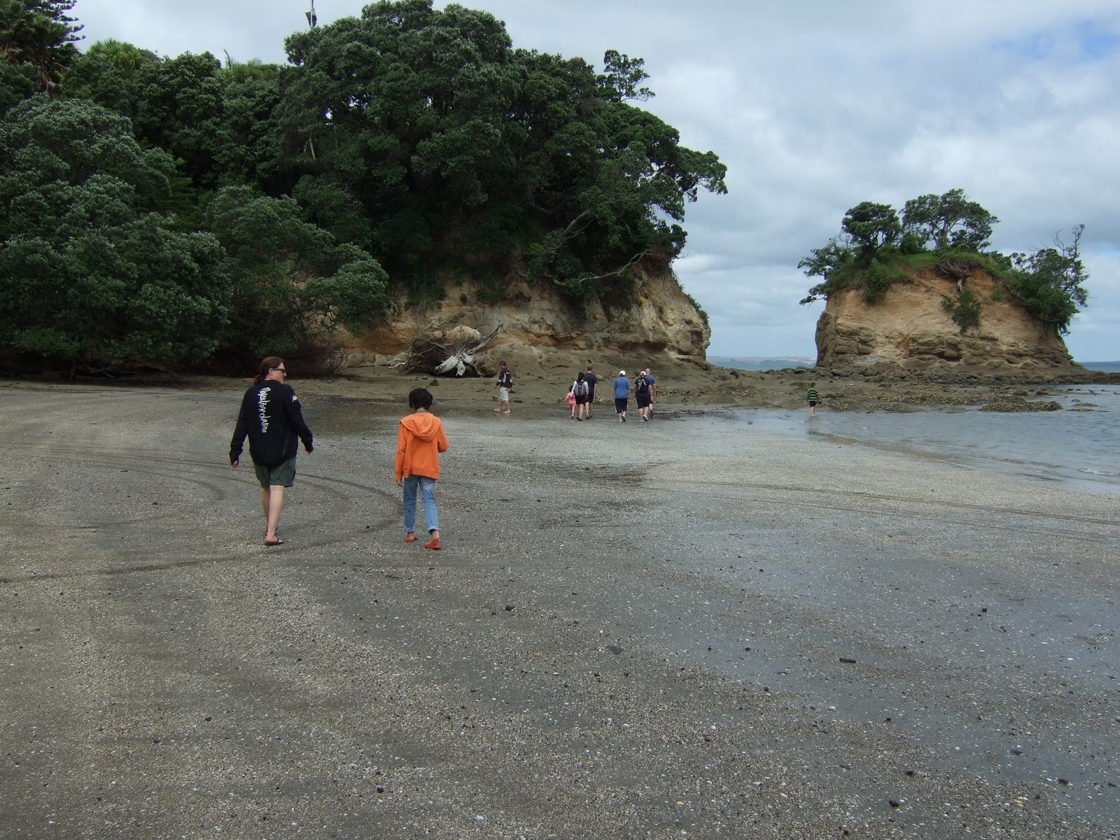 Hospice Hobblers Coastal Challenge: January 2012