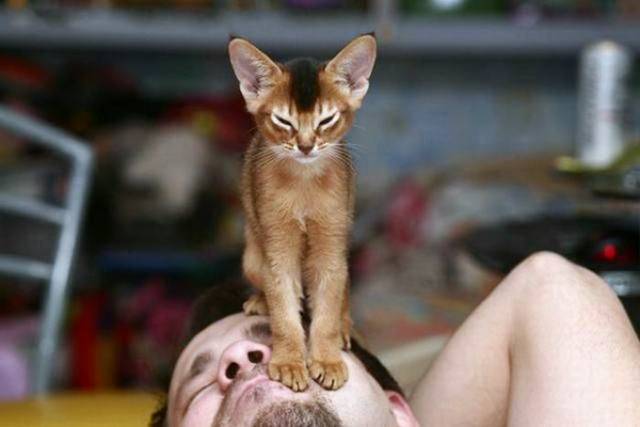 Picdump-Ritemail-005.jpg