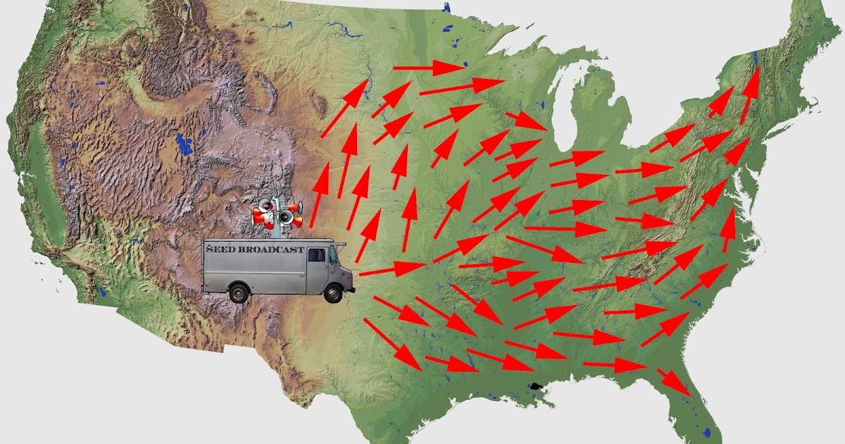 Seed map. Seed map