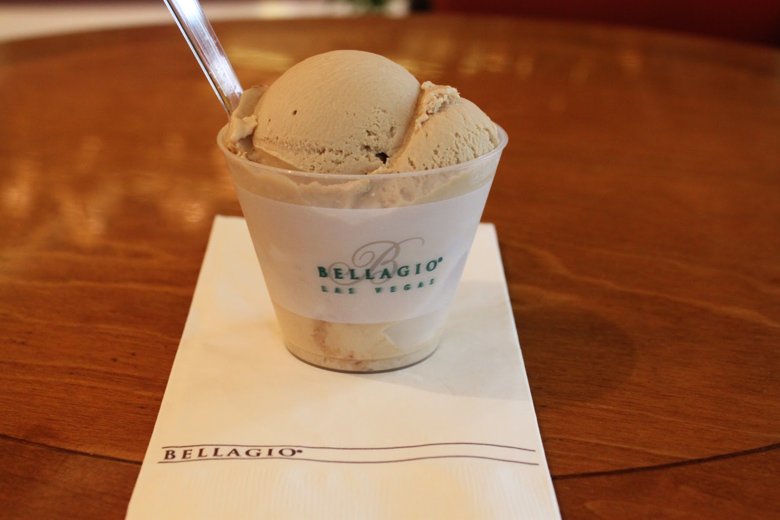 HayleysMom on Vegas Top 5 "Must See" Las Vegas Strip Hotels 1 Bellagio