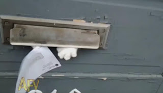 This Funny Cat Attacks Every Mailman Who Inserts Flyers And