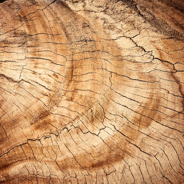 Urmel macht: Gartenhaus aus Holz am besten ganz einfach selber bauen