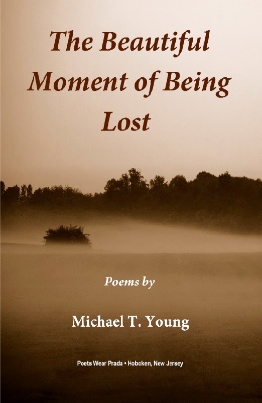 THE BEAUTIFUL MOMENT OF BEING LOST by Michael T. Young
