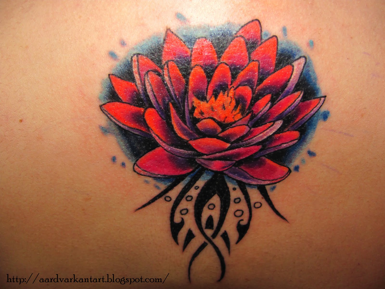 http://3.bp.blogspot.com/-4oqMabKk_3s/Tc3fXiu-GGI/AAAAAAAAAOo/0Ax4ilVWddw/s1600/lotus+flower+tattoo.jpg