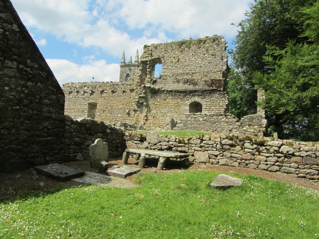NB The Puzzler 14th 19th June. Downstream to St Mullins and back to