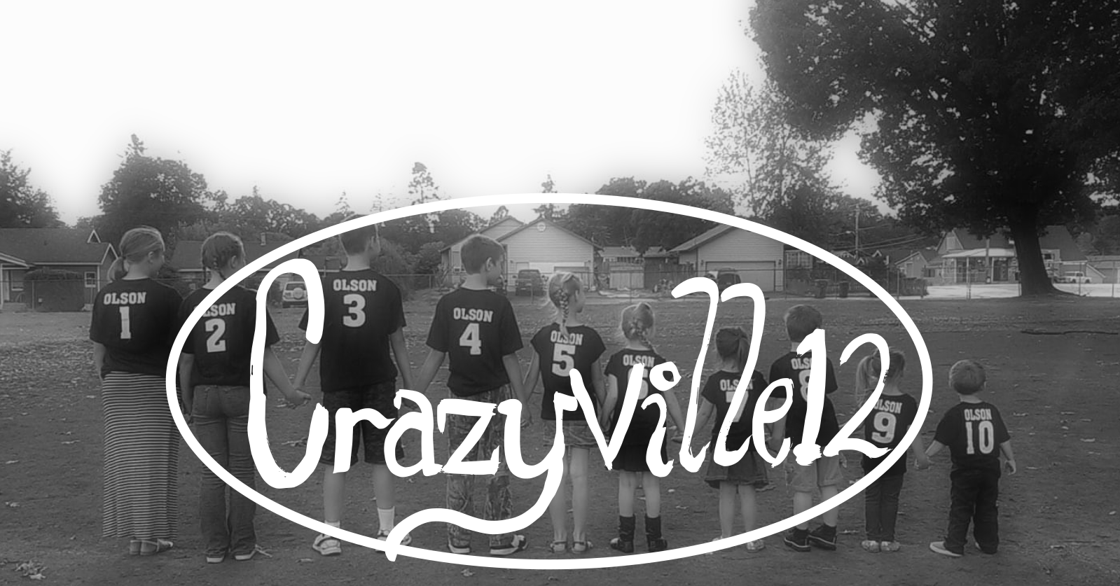 Crazyville12
