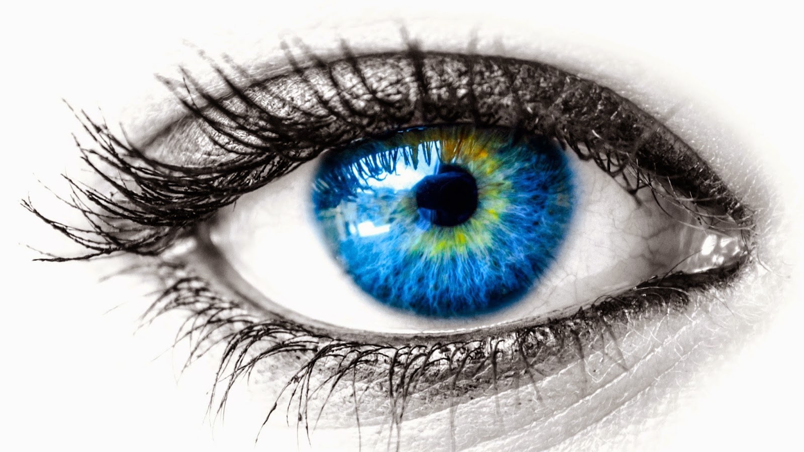 Awesome Facts You Must Need To Know Facts About Eyes