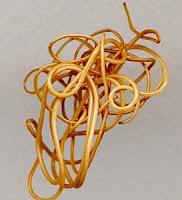 download hair worms in humans download hair worms in humans