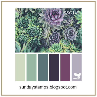 RunningwScissorsStamper: SSC149 Succulent Shadow Box Card & Blog Candy!