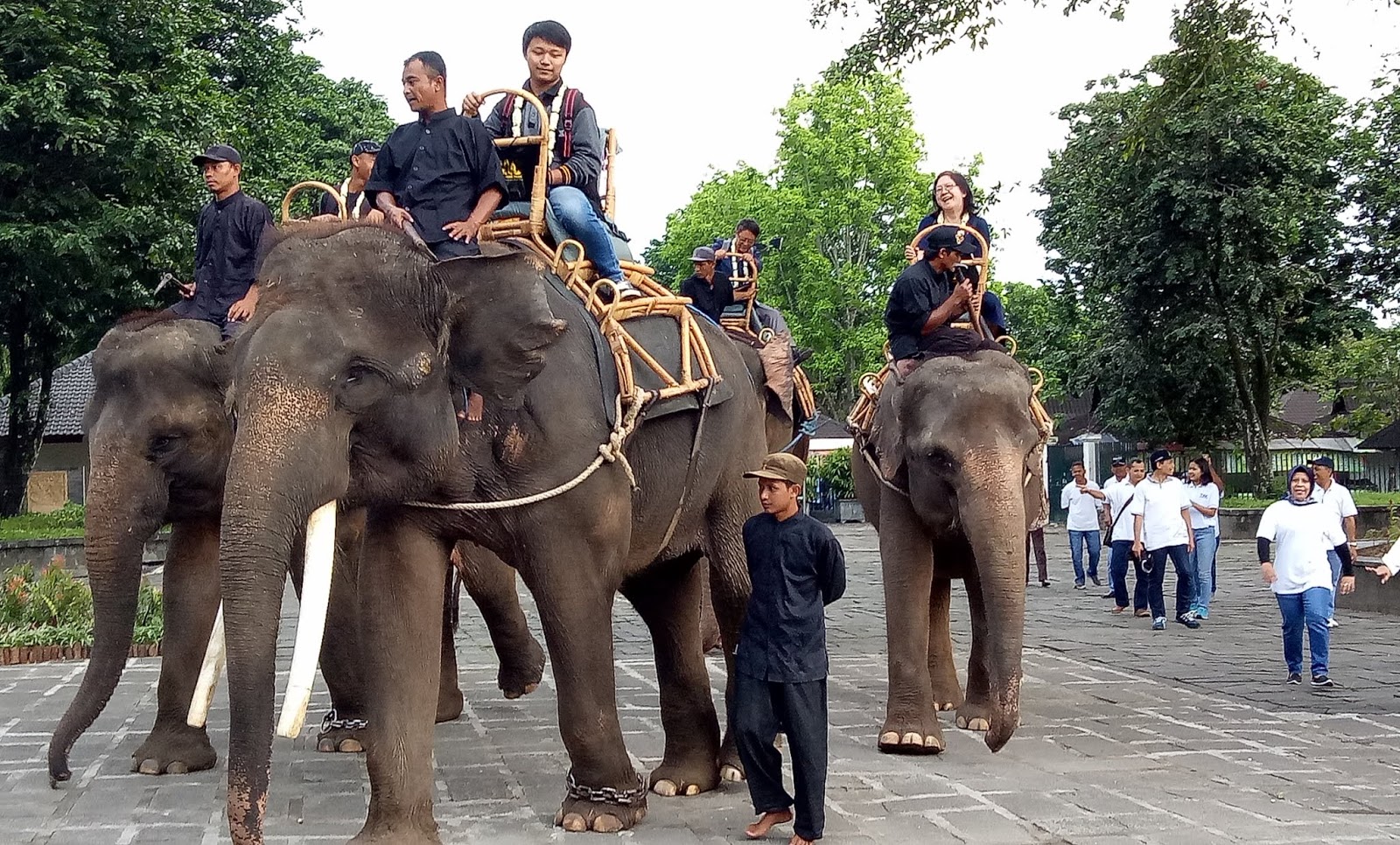 Empat Wisatawan Pengunjung Pertama Candi Borobudur Diarak Empat Wisatawan Pengunjung Pertama Candi Borobudur Diarak