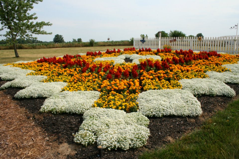 Simple Pleasures Amish Country Quilt Gardens