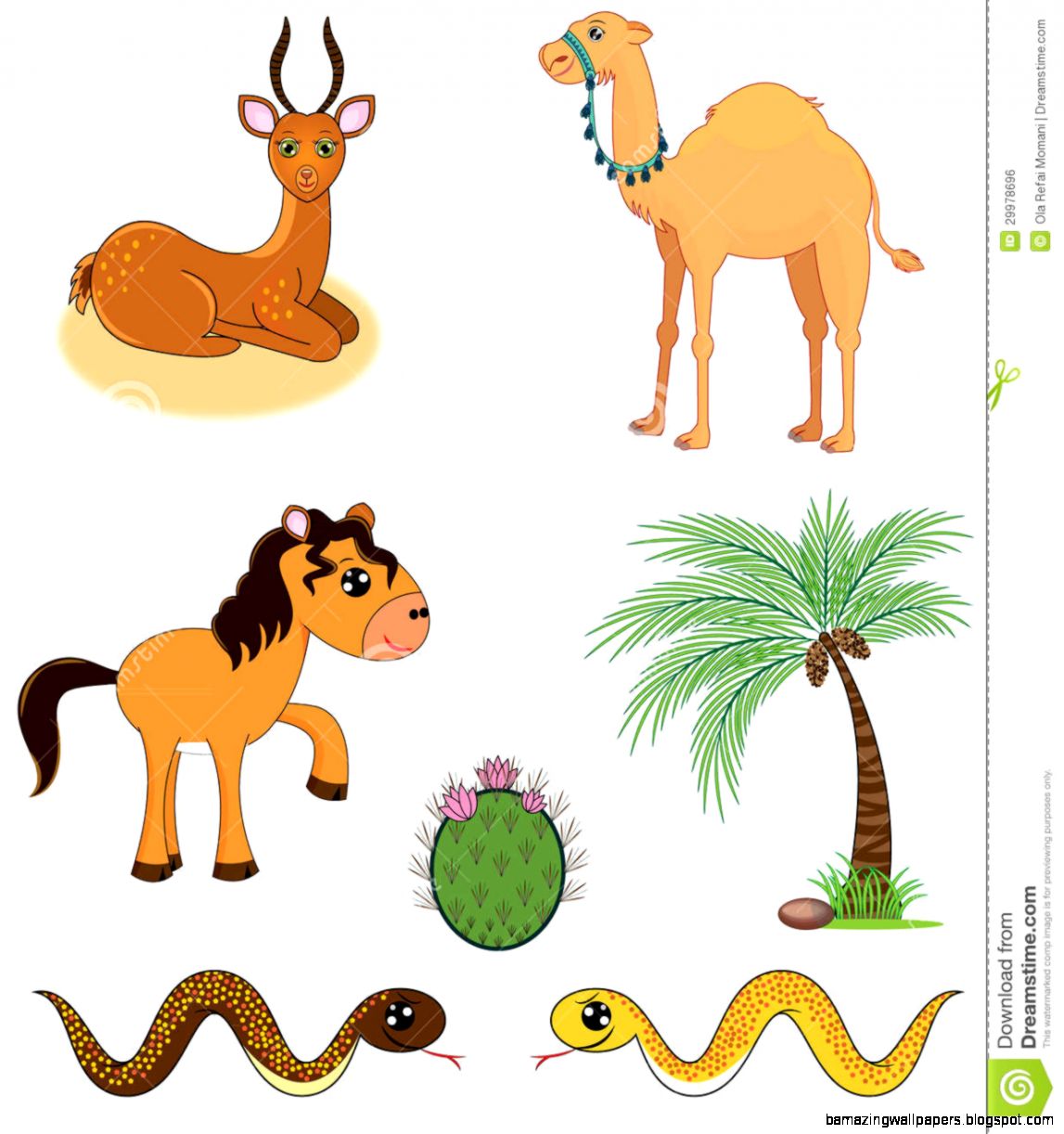 Desert Animals For Kids 9