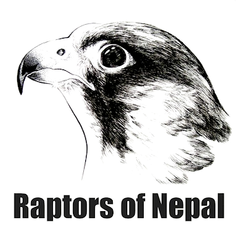 Raptors of Nepal