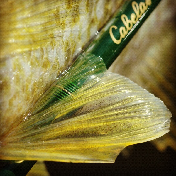 fiberglass fly rods for sale