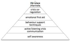 Therapeutic Crisis Intervention