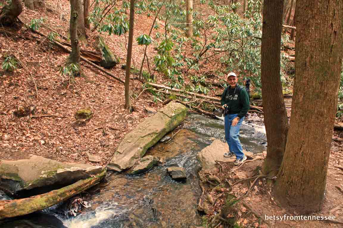 JOYFUL REFLECTIONS Fall Branch Falls, near Blue Ridge, GA
